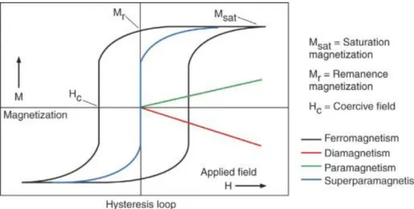 Fig. 1.2. Characteristic hysteresis loops and graphs of magnetization(M) versus applied magnetic  field(H)  of  ferromagnetic,  superparamagnetic,  diamagnetic,  paramagnetic