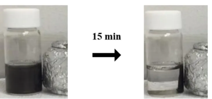 Fig. 3.1 CoFe 2 O 4 /EOG composites in water and its magnetic property 