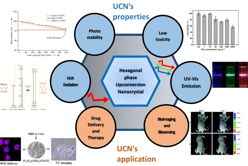 Figure 3. Overview of UCN’s properties and applications of UCNs in different sectors ranging from  Bioimaging to therapy and bioassays