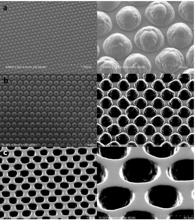 Figure 5. SEM image of Microdome array fabricated by molding technique. Microdome structure  array with a diameter of (a) 100um, (b) 45um was made of PDMS