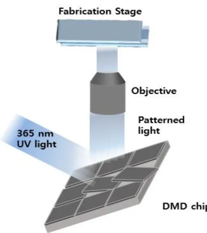 Figure 7. Scheme of DMD based microstructure array fabrication 