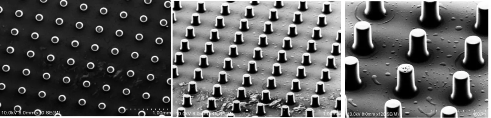 Figure 8. Micropost structure fabricated by DMD technique