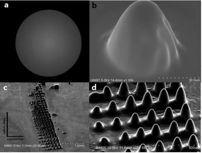 Figure 9. Grayscale lithography. Using (a) grayscale mask, we can expose gradient UV  radiation  to  a  photocurable  resin