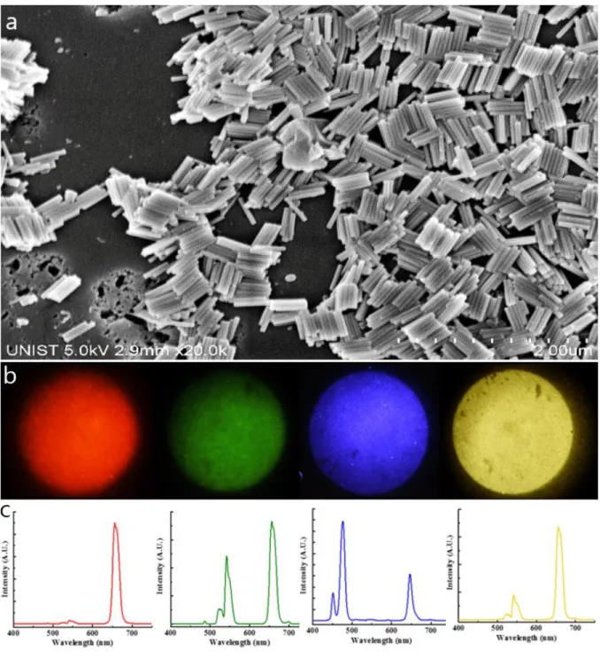 Figure 18. Rod-shape UCNs were synsthesized. (a) SEM image of rod shape UCNs (b) Optical images  of  UCNs  ranging  from  red,  green,  blue,  yellow  taken  under  980nm  continuous-wave  laser  (C)  Spectrum for UCNs ranging from red, green, blue, yellow