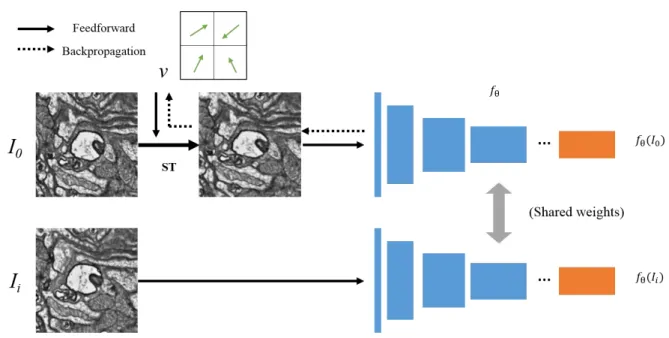 Fig.  5.  The  overview  of  the  proposed  method.  The  right  network  is  the  encoder  of  pretrained  convolution  autoencoder (CAE)