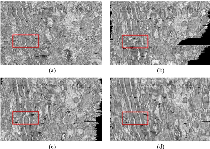 Fig.  9.  Visual  comparison  of  mouse  ssEM  image  registration  results.  (a)  before  alignment,  (b)  bUnwarpJ, (c) elastic stack alignment, and (d) our method