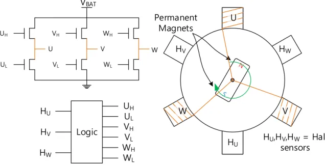 Figure 1.2 Structure of BLDC motor.