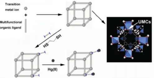 Figure  1.1  Schematic  illustrations  of  removal  Hg 2+   from  water  utilizing  thiol-functionalization  on  Unsaturated Metal Center(UMC)