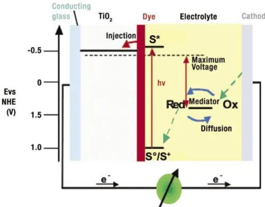 Figure 7. Working scheme of a typical dye-sensitized solar cell. 