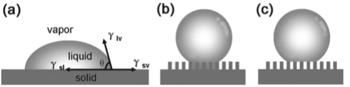 Figure 6 : Schematic illustration of the wetting behavior of a water droplet on different solid substrates.(a)  Young