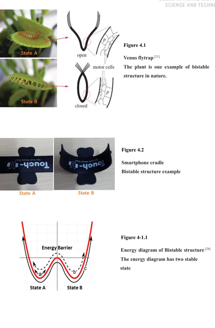 Figure 4.1  Venus flytrap  [21] 