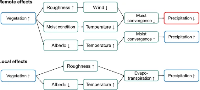 Fig. 1.1. Schematic diagram of increase vegetation effect about remote and local responses 