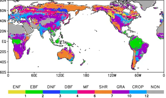 Fig. 3.1. Horizontal distribution of dominant plant function types (PFTs) using the MODIS  land  cover  data  that  include  evergreen  needleleaf  forest  (ENF),  evergreen  broadleaf  forest  (EBF),  deciduous  needleleaf  forest (DNF),  deciduous  broad