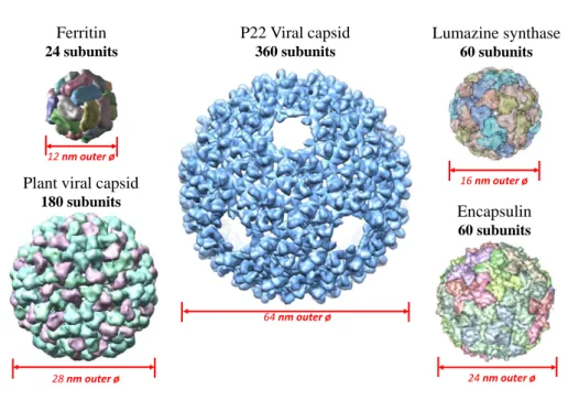 Figure 1.3 A schematic illustration of various types of protein cage architectures as multi-functional  nanoplatforms