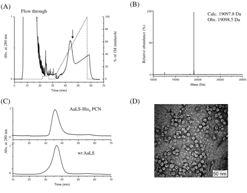 Figure 4.2 Characterization of AaLS PCN containing His-tags at the C-termini (AaLS-His 6  PCNs)