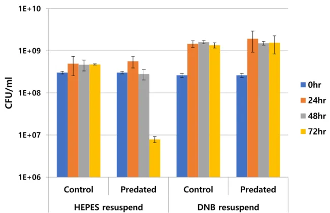 Figure  2.1.  Inhibited  Predation  of  B.  bacteriovorus  HD100  with  C.  piscinae  in  HEPES  and  DNB  media