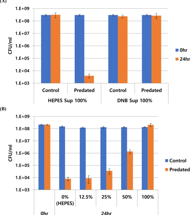 Figure 2.2. C. piscinae supernatant have negative impact on B. bacteriovorus HD100 predation