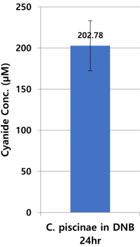 Figure 2.5. Average cyanide concentration produced by C. piscinae, cultured overnight in DNB,    15ml cultured in 50ml of Falcon tube