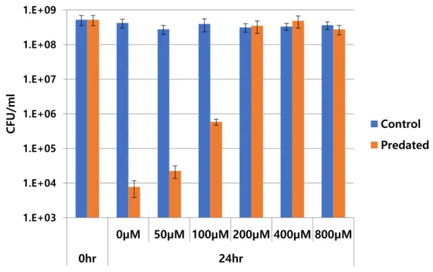 Figure  2.6.  Predation  with  different  concentration  of  cyanide by  using  KCN.  At  0hr  and 24hr  after  adding  B