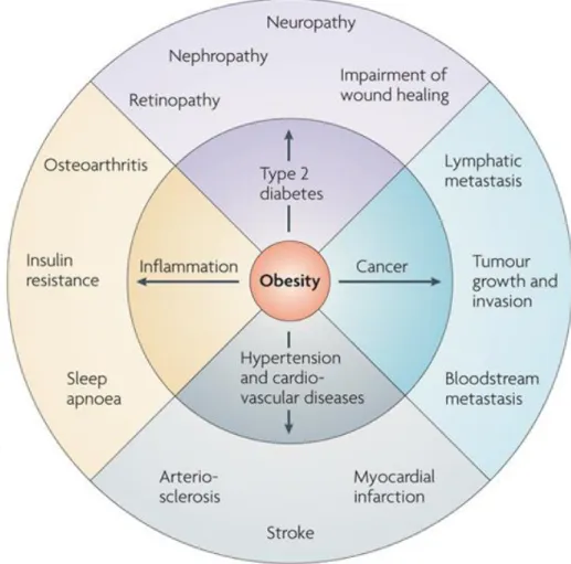 Figure 1-1. Obesity and its related complications  Nature Reviews Drug Discovery 9; 107-115 (2010) 