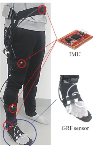 Fig. II.2.1. Configuration of the wearable system for the lower extremity 