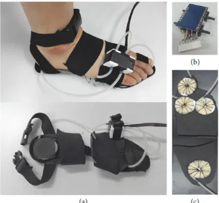 Fig. II.2.3. GRF sensor modules: (a) entire view, (b) pressure sensor module, and (c) air bladders  attached on the insole 
