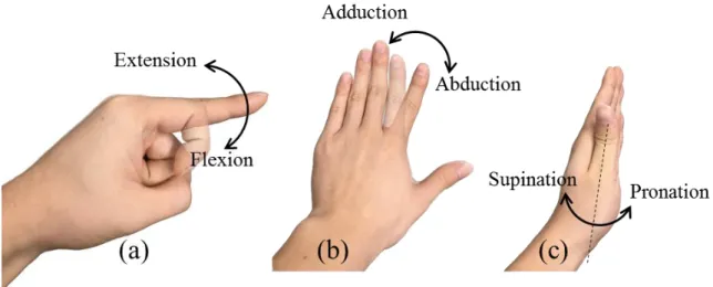 Fig. III.2.1. Fundamental motions of fingers: (a) flexion/extension (FE), (b) abduction/adduction (AA)  and (c) pronation/supination (PS) 
