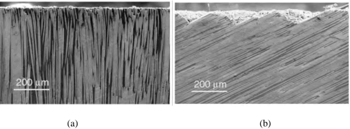 Fig. 2-11 Cross section of specimens in CFRP cutting; (a) fiber angle 90° , (b) 180° [37]