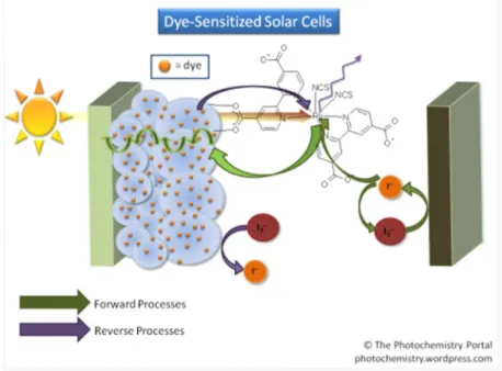 Figure 6. Schematic of the dye sensitized solar cell structure 