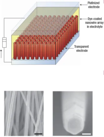 Figure 10. ZnO nanowire dye sensitized solar cell and detailed picture of ZnO nanowire 