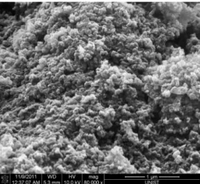 Figure 20. SEM image of the carbon black powder 
