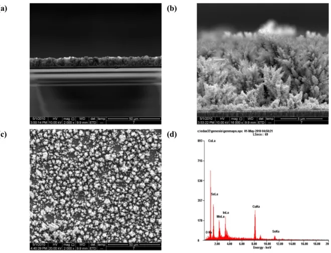 Figure  8.  CIGS  electrodeposited  layer  morphologies  at  -0.6  V  vs.  SCE  for  1,200s,  (a),  (b)  cross-sectional image of a film, (c) surface morphology of a film, (d) EDS pattern of the layer