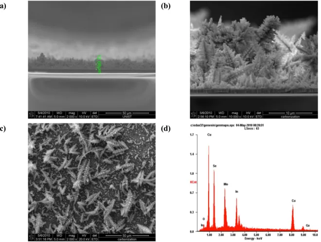 Figure  9.  CIGS  electrodeposited  layer  morphologies  at  -0.7  V  vs.  SCE  for  1,200s,  (a),  (b)  cross-sectional image of a film, (c) surface morphology of a film, (d) EDS pattern of the layer