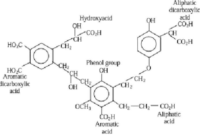 Figure 2.5 Proposed molecular structure of humic acid, adapted from Duan and Gregory [54]   