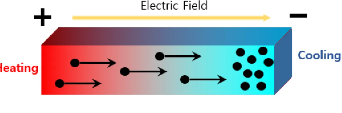 Fig. 1.1. Basic principle of Seebeck effect in TE materials.   