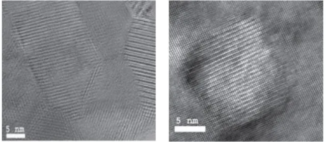 Fig. 1.13. The SEM image of (left side) nano-grain boundaries and nano-precipitate (right side)
