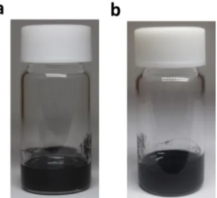 Fig. 2.8. Colloidal stability of the TE paint. 