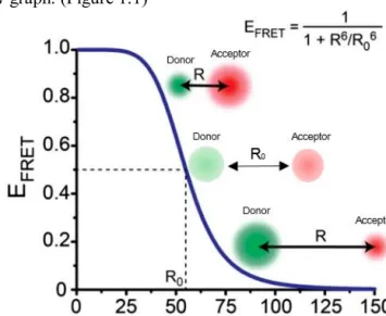 Figure  1.1.  A  graph  of  FRET  efficiency  following  distance(R)  between  a  donor  and  acceptor  fluorophore  molecules  [33]