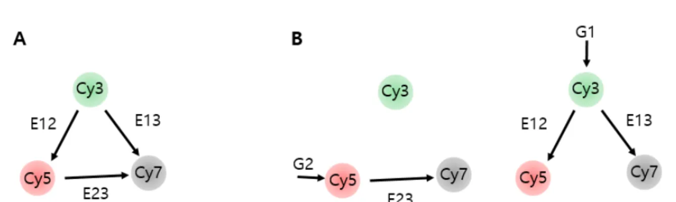Figure  1.3.  A  schematic  diagrams  for  determination  of  3color  FRET  efficiencies  using  the  single  molecule ALEX technique