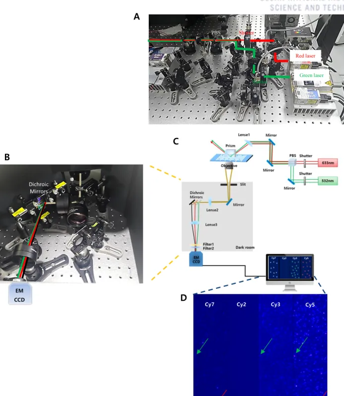 Figure 1.5.    TIRF microscopy set up with schematic diagram. (A) Laser excitation path (B) Emission  channel  part,  each  dichroic  mirror  selectively  pass  light  from  each  range  of  colors