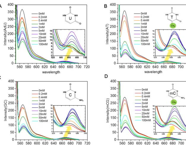 Figure 2.7. Emission spectrum from methylation dependent dsDNA samples in spermine solution