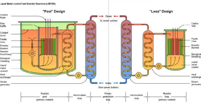 Figure 5. 1. The comparison of pool and loop type design of liquid metal cooled fast reactor