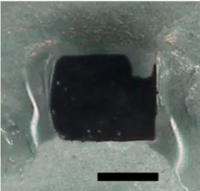 Figure 2.2. Image of MOF battery covering the top surface of the MOF crystal with  conductive carbon paste