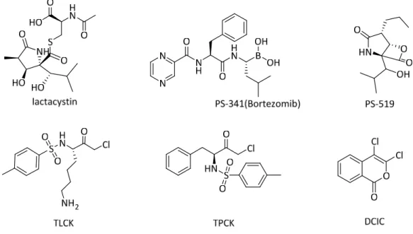 Figure 10. IκB phosphorylation/degradation inhibitors 
