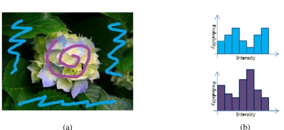 Figure  2.1  :  (a)  Graph  cut’s  user  interaction.  (b)  Foreground  histogram  (Purple),  background  histogram (Sky)