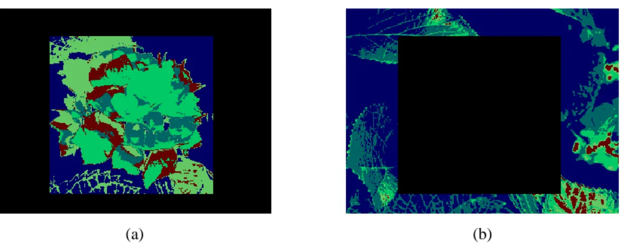 Figure 2.6 (a) and (b) show 5 different color clusters of the inside and outside of the bounding box