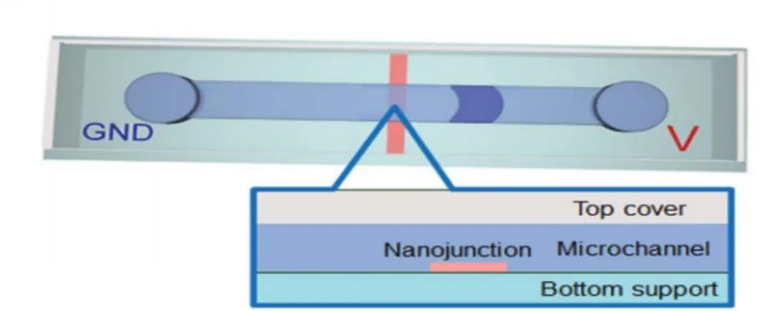 Figure 1.3 Schematic illustration of SC-ICP device. 