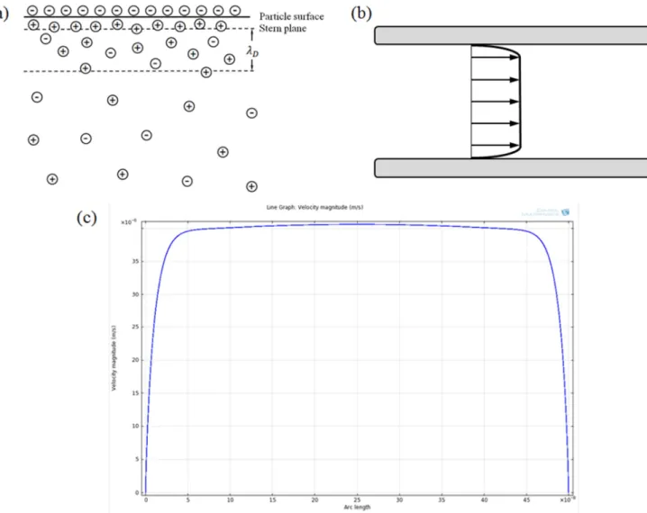 Figure 2.2 The formation and profile of electroosmotic flow in microfluidic channel. (a) Schematic of counter- counter-ions and co-counter-ions distribution near the charged surface