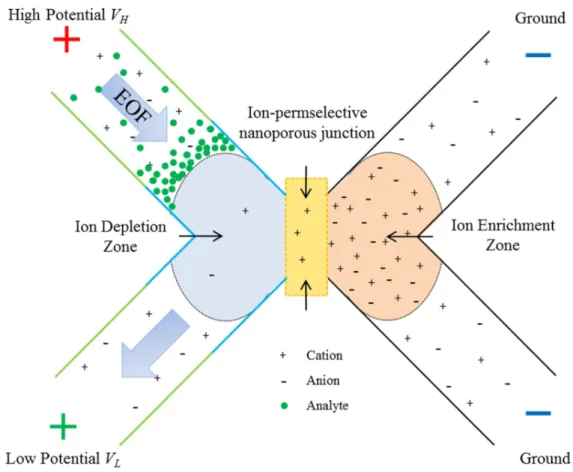 Figure 2.3 Schematic illustration of DC-ICP and the pre-concentration of analytes. Left channel is the anodic  channel and the right channel is the cathodic channel