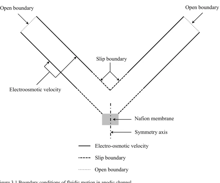 Figure 3.1 Boundary conditions of fluidic motion in anodic channel. 